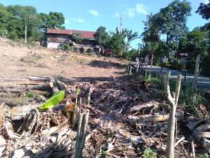 Pengrusakan Kebun Milik Haji Agustan Belum Ada Titik Terang.Polsek Pammana Dinilai Tumpul