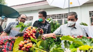 Kunjungi Kebun Kopi di Polman, Bupati Wajo Langsung Perintahkan OPD Terkait Lakukan Pengembangan