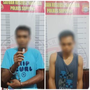 Satnarkoba Polres Soppeng Bekuk 2 Pelaku Miliki Narkotika Jenis Sabu