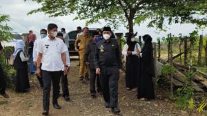 Amran Mahmud Ingin Bawa Kota Sutra Jadi Pengekspor Daging Sapi Terbesar Sulsel