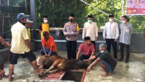 Polres Wajo Potong 15 Ekor Hewan Kurban Pada Idul Adha 1442 H