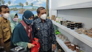 Peresmian Pusat Oleh-Oleh Khas Wajo, Amran Mahmud: Mari Gerakkan Ekonomi di Tengah Pandemi