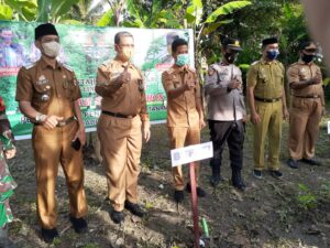Bupati Wajo Bersama Kadis DLHD Wajo Hijaukan Lingkungan Dengan Program Menanam Tanaman Produktif
