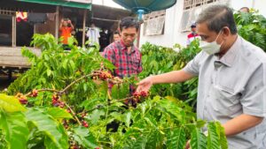 Bupati Wajo Bakal Terima Penghargaan Nasional di Kementan, Hanya 15 Orang di Indonesia