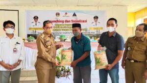 Selain Terima Simbolis Bantuan CSR PT EEES, Amran Mahmud Salurkan Bantuan Bibit Padi di Gilireng