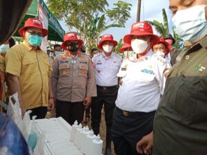 Gerak Cepat Bupati Wajo, Petani Terdampak Banjir Wajo Dapat Bantuan 177 Ton Bibit Padi
