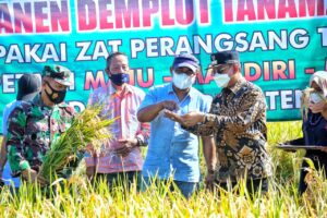 Gandeng Bank Mandiri, Bupati Wajo Upayakan Bantuan KUR bagi Petani