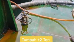 Beredar Kabar 2.500 Ton Minyak Goreng Tumpah ke Laut Senilai Rp37 M