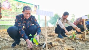 Selain Bisa Lestarikan Lingkungan, Penanaman Sejuta Pohon di Wajo Punya Nilai Ekonomi