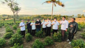 Kerja Sama NFA, Wajo Kirim 162 Ton Cabai ke Berbagai Daerah di Indonesia