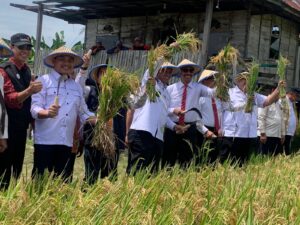 Panen Raya di Tomodi, Amran Mahmud Ungkap Potensi Pertanian Wajo ke Ketum PP Lazismu