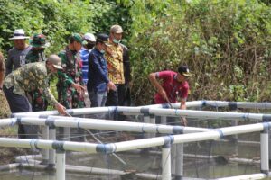 Inovasi Tiktok Jablay, Masyarakat Nelayan Wajo Kini Dapat Cuan dari Ikan Tokek