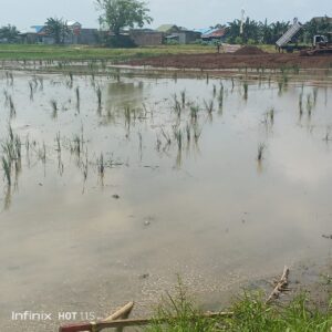 Membangun Perumahan Diatas Lahan Produktif, Pemerintah dan DPRD Gowa Diminta Bersikap