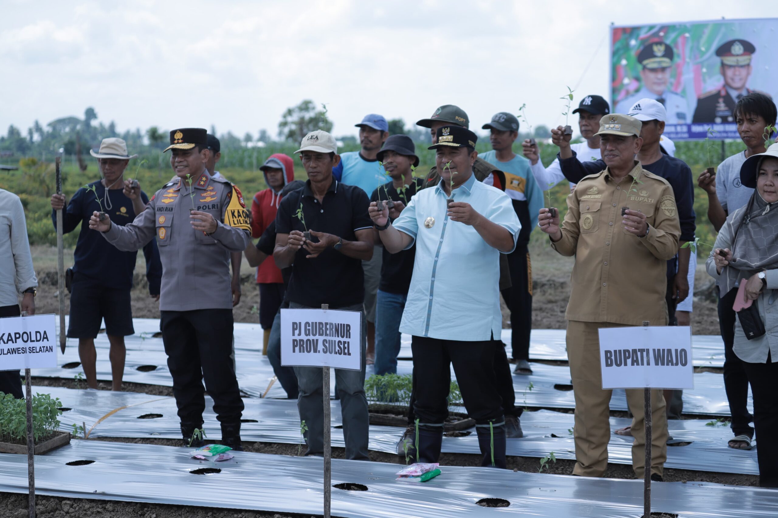 Bersama Kapolda Sulsel dan Bupati Wajo Panen Perdana, Pj Gubernur Sulsel Sebut Harga Cabe Menjanjikan