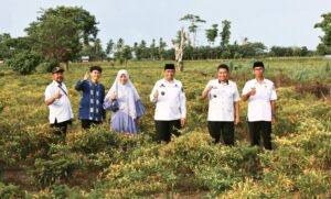 Berhasil Diselamatkan Saat El-Nino, Bupati Wajo Kunjungi Pertanaman Cabai Petani di Belawa