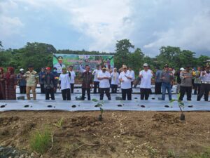 Mewakili Kapolres Wajo,Kapolsek Majauleng Melakukan Penanaman Cabai,Kelapa dan Sukun Secara Simbolis