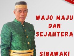 AMY Bakal Calon Bupati Wajo Pernah Terima Penghargaan Putra Terbaik di Kabupaten Wajo Tahun 2017