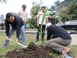 Andi Bataralifu Hadirkan Varietas Pohon Kelapa Bido di Kawasan Wisata Rumah Adat Atakkae