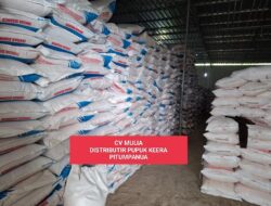 Kelangkaan Pupuk di Wajo Tidak Benar. Distribusi Aman, Stok Pupuk Menumpuk di Distributor