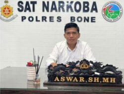 Satresnarkoba Polres Bone, Amankan 4 Sindikat Pengedar Narkoba