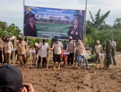 Polsek Pammana Polres Wajo Gelar Penanaman Perdana Padi Gogo di Lahan Perkebunan, Dukung Ketahanan Pangan Nasional