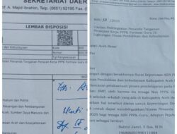 Diduga Pendaftaran Calon PPPK 2024 Disdik Aceh Besar Adanya Pelanggaran Maladministrasi