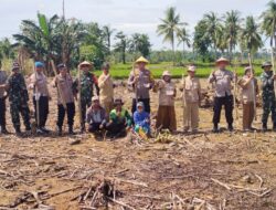 Dukung Ketahanan Pangan, Kapolsek Pitumpanua Polres Wajo Tanam Jagung Bersama Warga