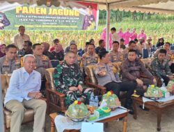 Ketua DPRD Wajo Dukung Program Ketahanan Pangan Melalui Panen Jagung Serentak