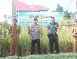 Pesta Panen di Polsek Tanasitolo, Dukung Program Pemerintah Pemanfaatan Lahan Bergizi