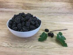 Penanganan Kasus MURBEI Dinilai Jalan Ditempat Alias MANDEK, ” Ada Apa Ya “