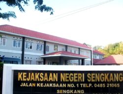 Ada Apa Kejari Wajo “Puasa” di Kasus Murbei Merugikan Keuangan Negara Miliaran Rupiah