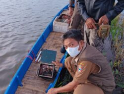 Ketahuan Nyetrum Ikan, Nelayan Lampulung Diciduk Satpol PP Wajo