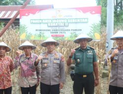 Kapolres Wajo Hadiri Panen Raya Jagung Serentak Bersama Masyarakat Pitumpanua