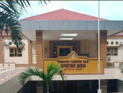 Ini Penjelasan Auditor Inspektorat Inisial “RJ” Terkait LHP Desa Cinnongtabi