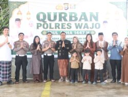 Polres Wajo Gelar Penyembelihan Hewan Kurban, Warga Sambut Antusias