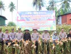 Wajo Gelar Panen Raya Jagung Serentak, Polri Perkuat Ketahanan Pangan Nasional