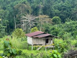 MOI WAJO DAN  ADVOKAT KENDARI BERKOLABORASI MONITORING  KAWASAN HUTAN PRODUKSI YANG DI KLAIN GAKUM DISHUT SUL-SEL