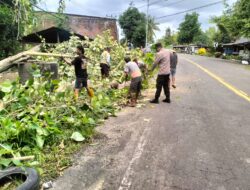 Wujud Pelayanan Prima, Polsek Majauleng Lakukan Evakuasi Pohon Tumbang yang Membahayakan Pengendara