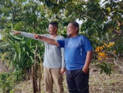 DLH Kabupaten Wajo Hadirkan Inovasi “Wajo Green Pest” sebagai Solusi Ramah Lingkungan