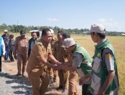 Bupati Wajo Hadiri Panen Perdana di Desa Mario