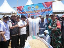 Bupati Didampingi Kadis Pertanian Hadiri Pesta Panen di Sappa Belawa