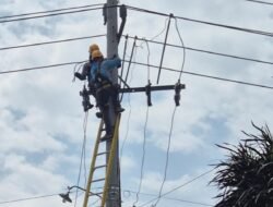 Peningkatan Kualitas Layanan Listrik, ULP Paria Bangun JTM, JTR dan Gardu 150 kVA di Dusun Mattirowalie Desa Batu