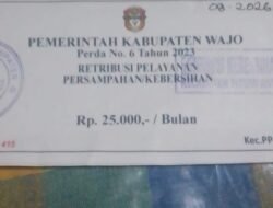 SAMPAH MEMBUSUK TAK DIANGKUT, KOLEKTOR RAJIN MENAGIH RETRIBUSI, INI TANGGAPAN CAMAT PITUMPANUA