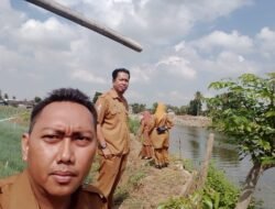 Tindak Lanjuti Aduan Warga, DLH Wajo Hentikan Sementara Aktivitas Tambang di Benteng Lompo